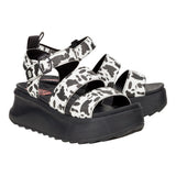 DELRAY BUCKLE ANIMAL